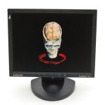 Internal Memory - variable dimensions approx 30x40x50cm - Oil on Samsung monitor
